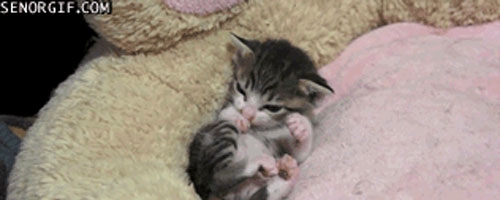 Too cute! Can’t handle the cuteness!!