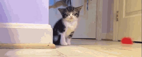 Guess I will sleep right here… So cute