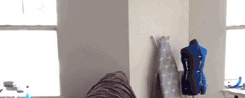 Surprise! No, I surprise you!