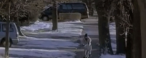 While you were sleeping, this poor paperboy had worst morning ever!