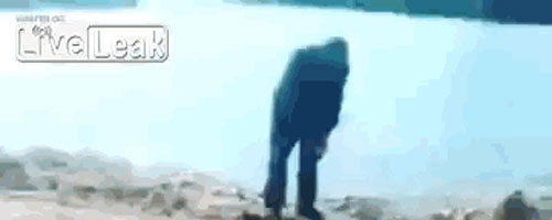 Twisted man tries to throw dog in the river. But what happened next will make you laugh out loud!