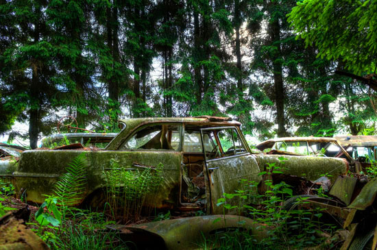 Car Graveyard in Chatillon Belgian Forest