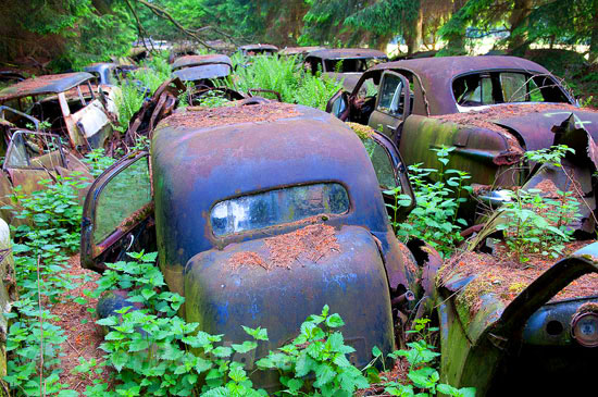 Car Graveyard in Chatillon Belgian Forest