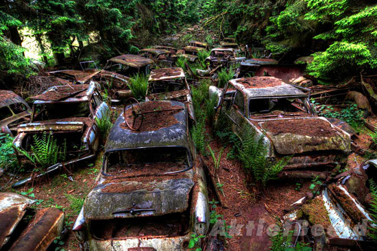 Car Graveyard in Chatillon Belgian Forest