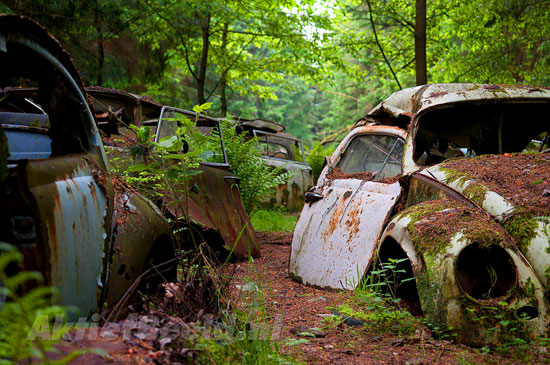 Car Graveyard in Chatillon Belgian Forest
