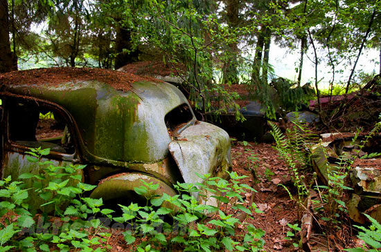 Car Graveyard in Chatillon Belgian Forest