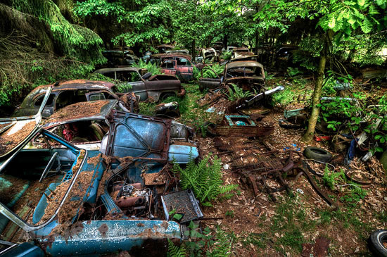 Car Graveyard in Chatillon Belgian Forest
