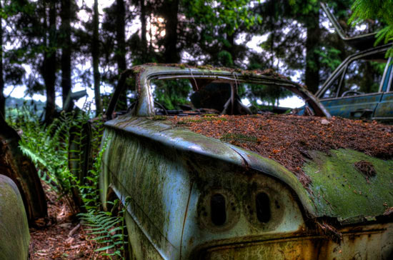 Car Graveyard in Chatillon Belgian Forest