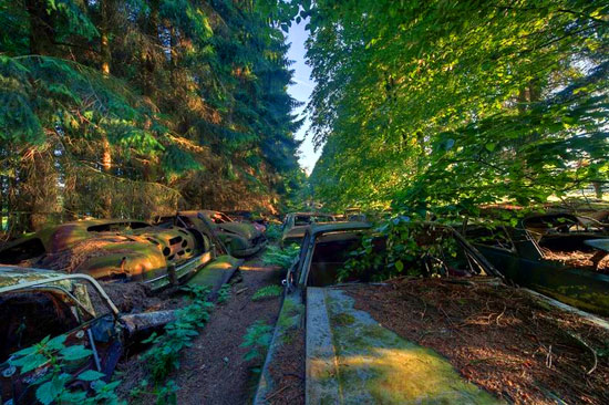 Car Graveyard in Chatillon Belgian Forest