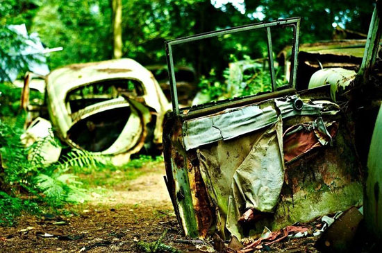 Car Graveyard in Chatillon Belgian Forest