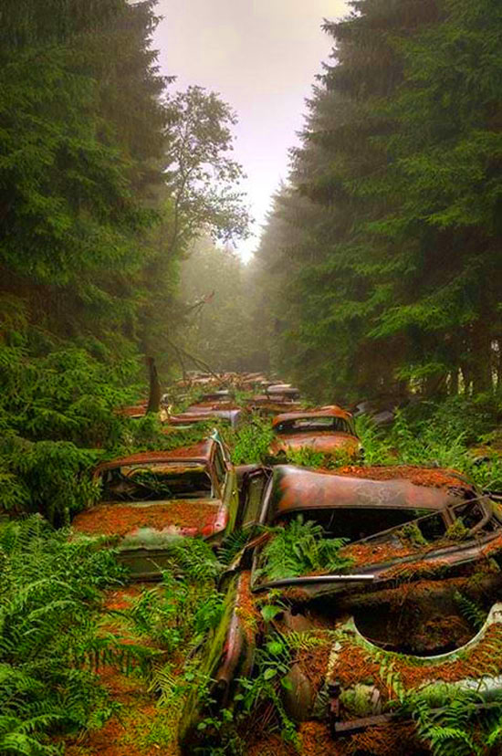 This Traffic Jam Was Stuck in Belgian Forest for 70 Years
