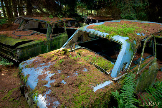 Car Graveyard in Chatillon Belgian Forest
