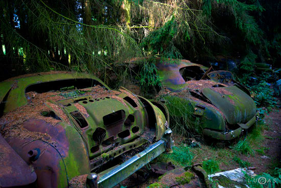 Car Graveyard in Chatillon Belgian Forest