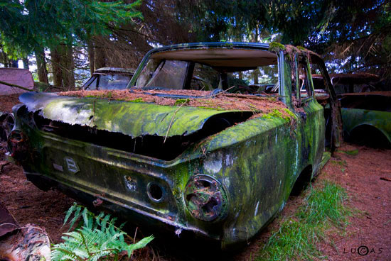 Car Graveyard in Chatillon Belgian Forest