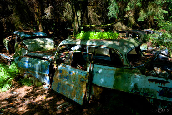 Car Graveyard in Chatillon Belgian Forest