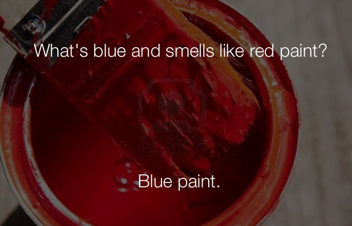 Hilarious Jokes - What's blue and smells like red paint?