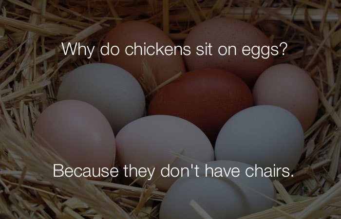 Funny Jokes - Why do chickens sit on egg?