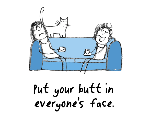 44 Pictures That Will Teach You How to Be a Cat, a Dummies Guide