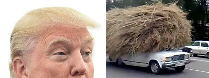Trump's Magical & Funny Hair