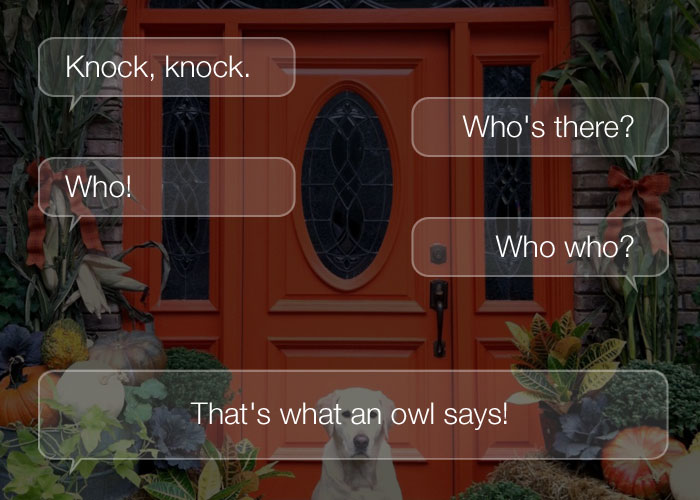 Funny Knock Knock Jokes - Knock, knock. Who's there? Who! Who who? That's what an owl says!