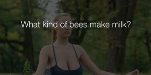 61 Funny Jokes That Are So Stupid, They're Hilarious. My Favorite is #15