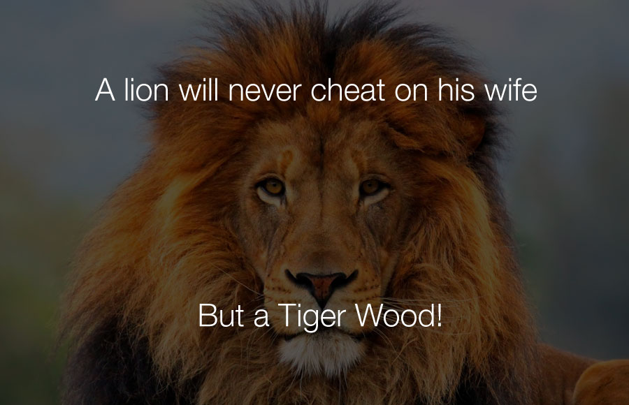 Hilarious Jokes - A lion will never cheat on his wife but a tiger wood.