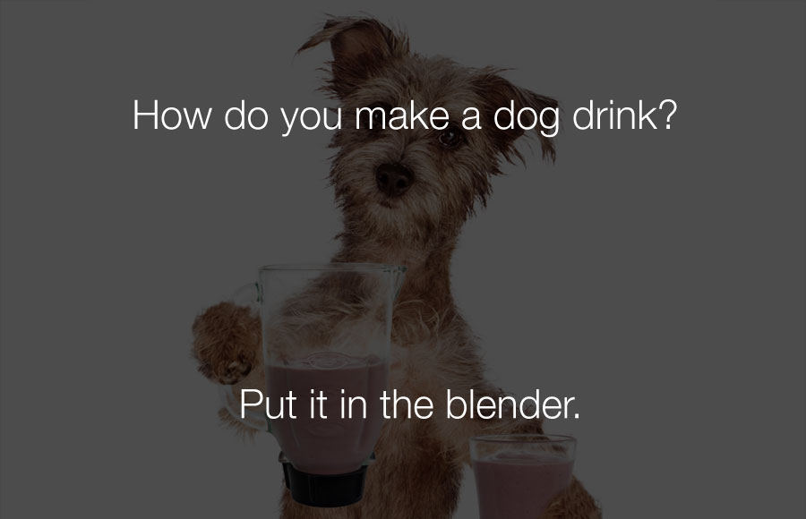 Funny Jokes - How do you make a dog drink.