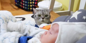 This Is Exactly Why You Should Get a Pet if You Have a Baby. Prepare for a Cuteness Overload!