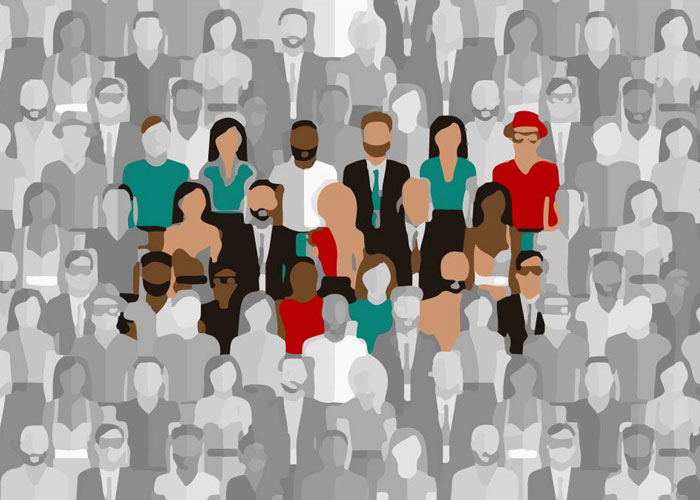 Who is The Target Audience of The Course