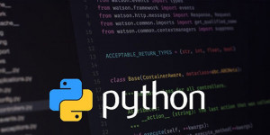 Want to Learn Everything About Python Programming, APIs, and Automation Tools After Getting CCNP Enterprise Certification? Explore Cisco 300-435 Exam Objectives with Practice Tests!